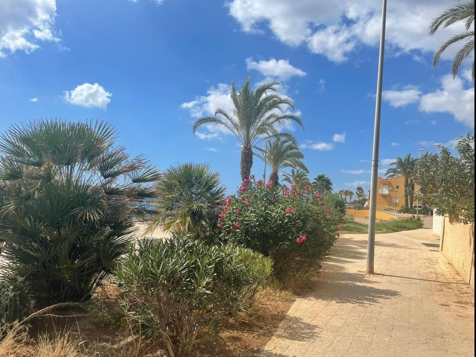 Casa Luna - Sea View Bolnuevo